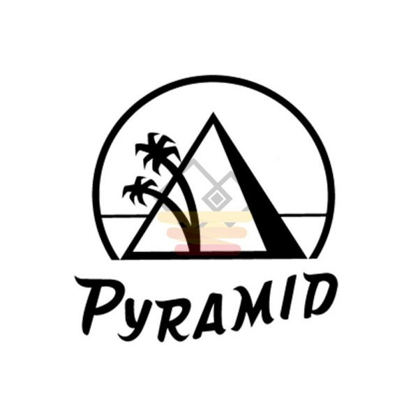 Gitar Aksesuar Elektro Tel Pyramid 0.09 401100 - 2