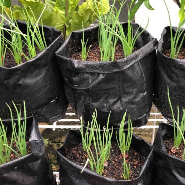 15x25 FİDAN TORBASI 50 ADET KÖRÜKLÜ FİDE PEYZAJ TORBA FİDAN ÜRETİM POŞETİ DELİKLİ - 2