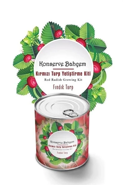 Konserve Bahçem Evde Konservede Fındık Turp Yetiştirme Kiti - 5