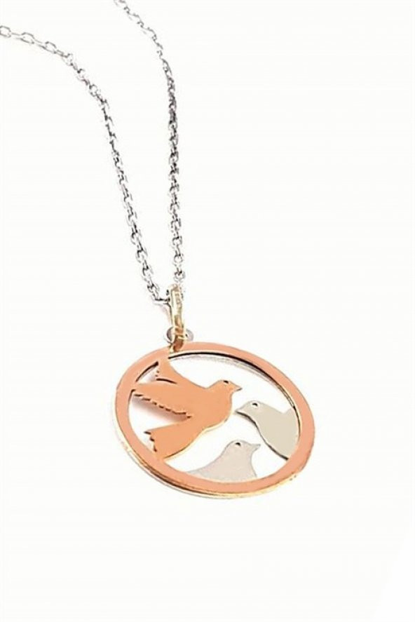 Kuş Figürlü Çift Renkli Gümüş Kolye ürün görseli