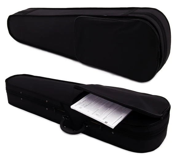 VIYOLA MANUEL RAYMOND KOYU PARLAK 4/4 MRVA44DC - 5