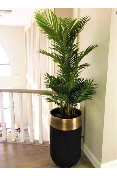 60x40 cm Dekoratif Darbuka Saksı Gold Detaylı ürün görseli