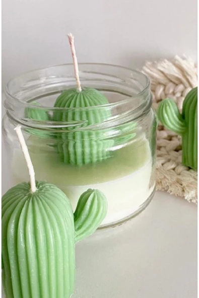 Kaktüs Kavanoz Kokulu Mum - Resim 2