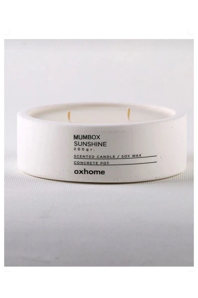 Oxhome Dekoratif Beton Mum Kase Obje Kokulu Mumbox
