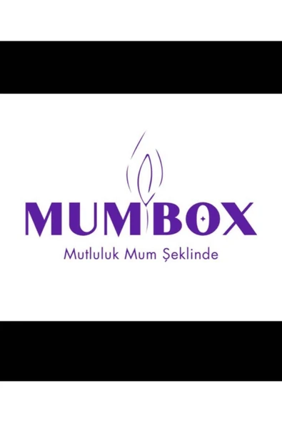 2li Bronze Burgu Şamdan Dekoratif Mum - Resim 2