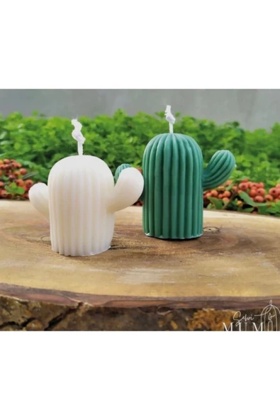 2’li Yeşil Beyaz Kokulu Kaktüs Mum - Resim 2