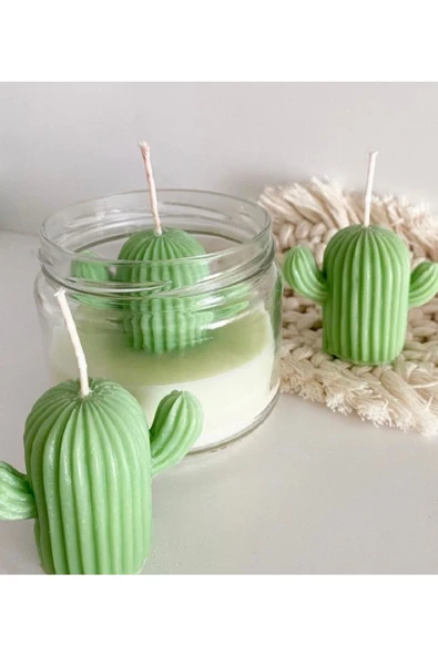 Kaktüs Kavanoz Kokulu Mum ürün görseli