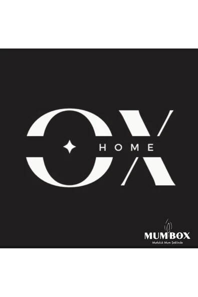 Oxhome Dekoratif Beton Mum Kase Obje Kokulu Mumbox - 2