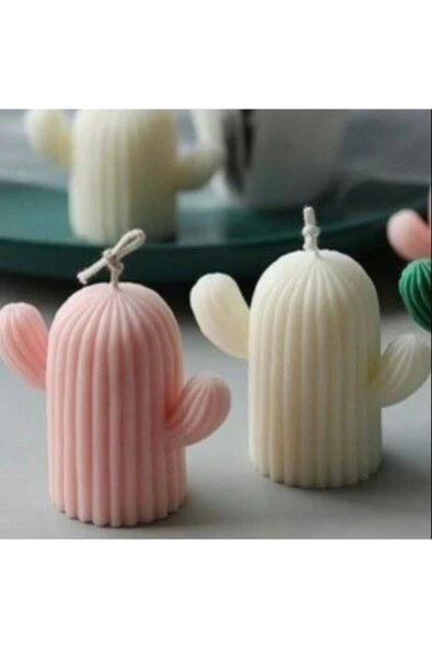 2’li Pembe Beyaz Kokulu Kaktüs Mum ürün görseli