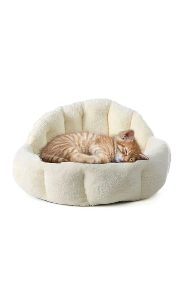 Peluş Evcil Hayvan Yatağı Wellsoft Kumaş Kedi ve Köpek için Rahat Yatak