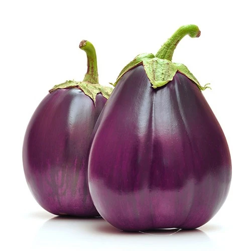 Topan Patlıcan Tohumu 10 gr 1 Adet