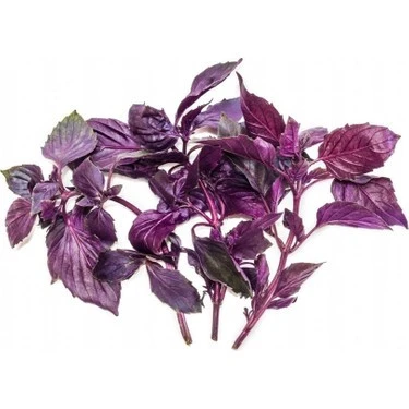 NEOMİ MOR REYHAN (FESLEGEN) TOHUMU 3GR