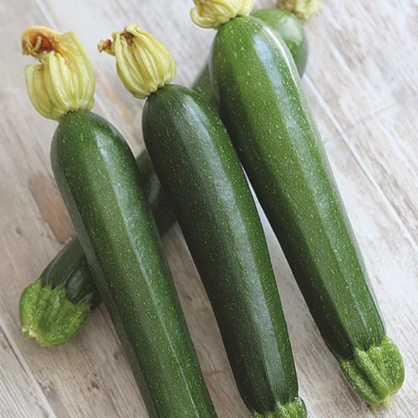 Siyah Kabak Tohumu 10gr 1 Adet