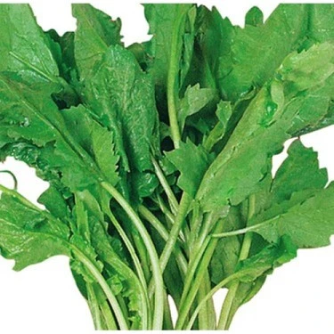 Izmir Tere Tohumu 10 gr 1 Adet