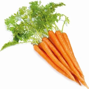 Havuç Tohumu 10 gr 1 Adet