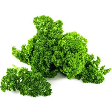 Arzuman Kıvırcık Frenk Maydanoz Tohumu 10 Gr