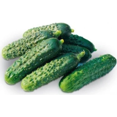 Turşuluk Hıyar Tohumu 10 gr 1 Adet