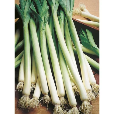 Inegöl Pırasa Tohumu 10 gr