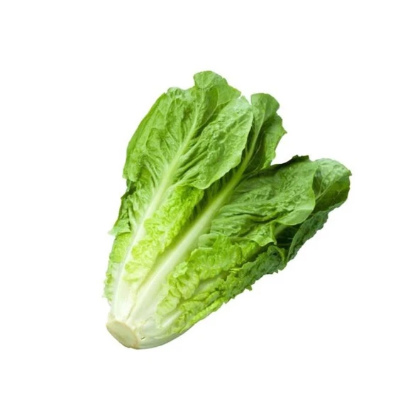 Yedikule Marul Tohumu 10 gr 1 Adet