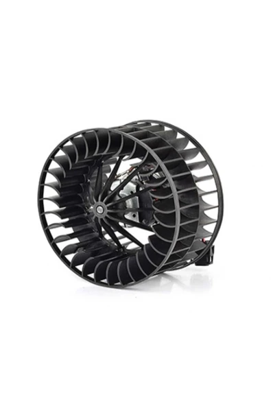 BSG 15 Benzin Pompası