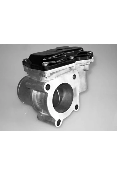 Valeo 700450  HAVA GIRIS BOGAZI GAZ KELEBEK MANSONU SCENIC III  1.