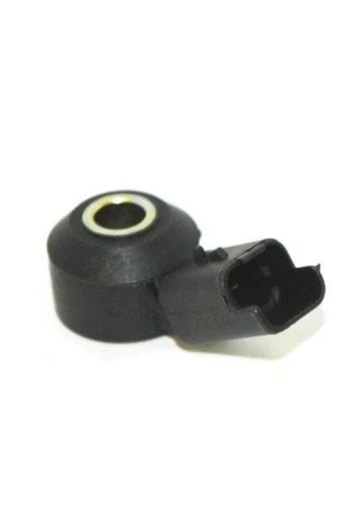 Delphi AS10174 Vürüntu Sensörü Partner Berlıngo 308-207 07-c3 09- - 1