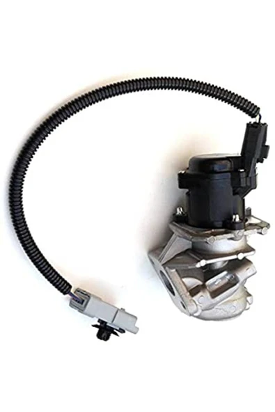Delphi EG10434 EGR VALFI 206-307-406-FOCUS-CMAX 1.6hdi 16V DV6 EURO3  -12B1