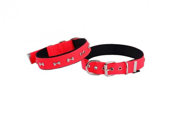 Actirex Neon Yumuşak Doku Kemik Desenli Köpek Boyun Tasma Red Medium 2.5x57cm