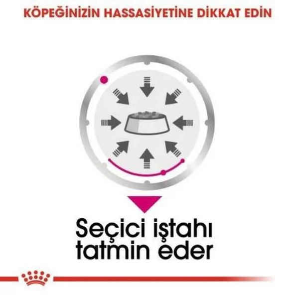 Royal Canin All Sizes Exigent Pouch Köpek Maması 85gr - 4
