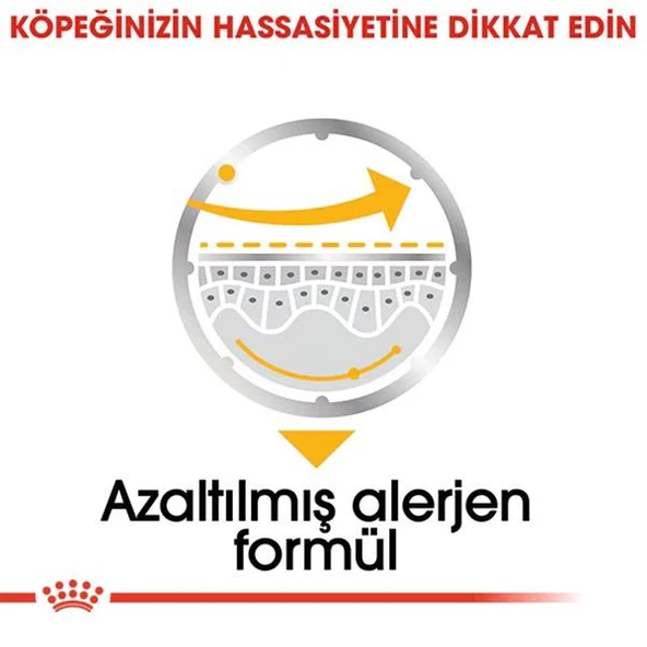 Royal Canin Dermacomfort Yetişkin Köpek Konservesi 85gr - 5
