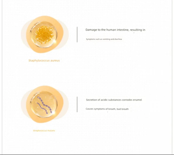 Çift UV Sterilizasyonlu Diş Fırçası Sterilizatörü - TS4 İnci Beyaz + Diş Macunu Sıkıştırıcı - 11