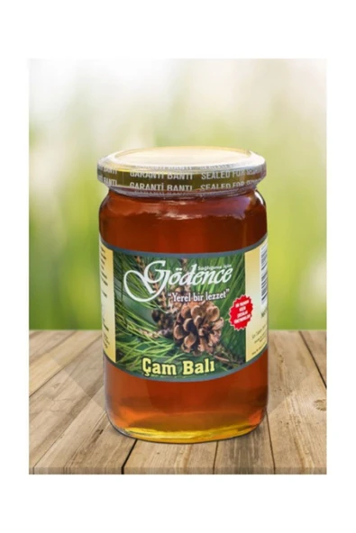 GÖDENCE KOOPERATİFİ ÇAM BALI 850 GR