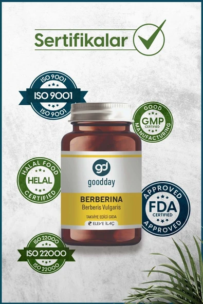 GOODDAY Berberina Kapsül %95 Berberin Içeren Besin Takviyesi - 6