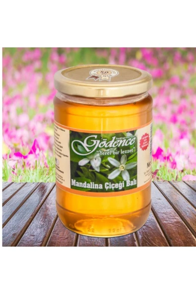 GÖDENCE KOOPERATİFİ MANDALİNA ÇİÇEĞİ BALI 850 GR