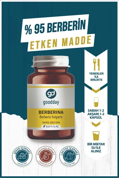 GOODDAY Berberina Kapsül %95 Berberin Içeren Besin Takviyesi - 4