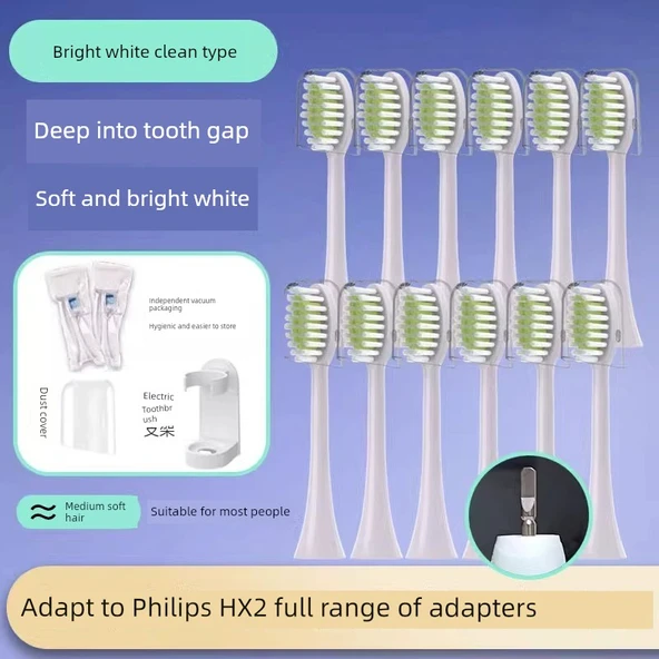 Teetips Diş Fırçası Başlığı - Mor Yok - 12 Paket