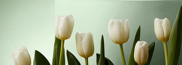 Tüy Topu Kesici - Güncellenmiş Tak Plug +5 6 Dişli Büyük Kesici Başlık + Ağ Kapağı - 7