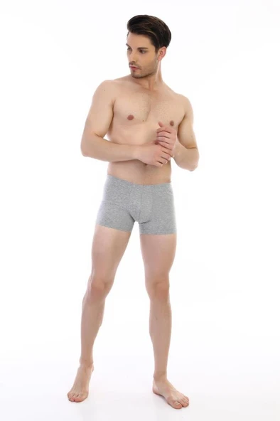 6 Adet Çift Kaplan Erkek Elastanlı Boxer 810 - Resim 4