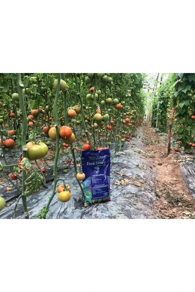 2,5 Kg. Isıl işlem Görmüş Yanmış Elenmiş Koyun Gübresi Organik Doğal Katı Çiftlik Gübresi - 4