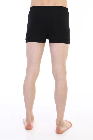 6 Adet Çift Kaplan Erkek Elastanlı Spor Külot Boxer 800 - Resim 3