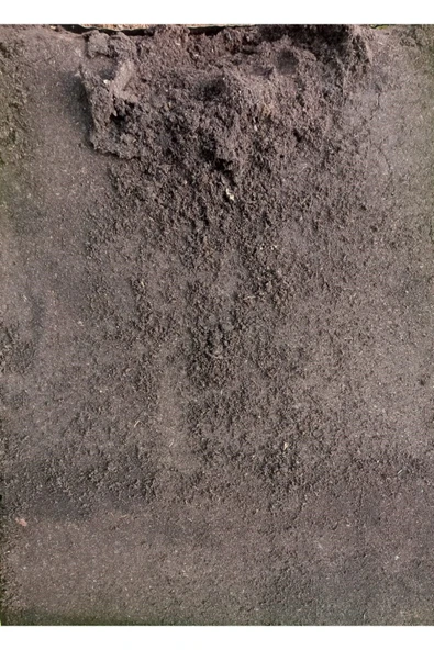 250 Litre Torf Bitki Toprağı Profimix Torf Toprak - Fide Ve Fidan Için - Çiçek Saksı Toprağı - 6