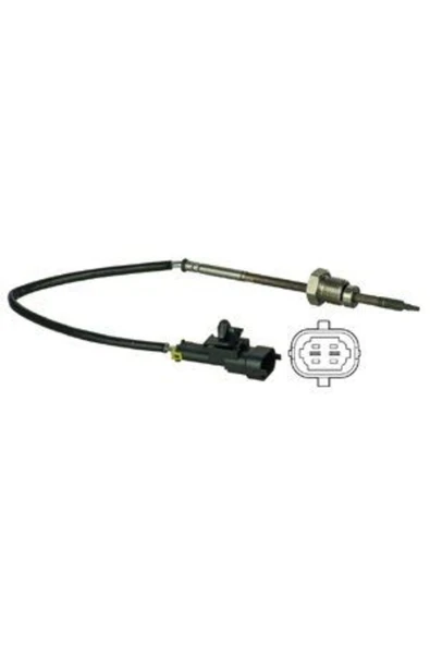 Delphi TS30032 EGSOZ SICAKLIK SENSÖRU BMW 1(E87)5 (E60)ANTARA 10-