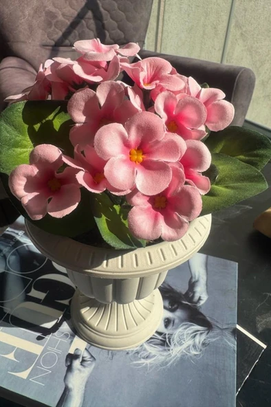 Yapay Çiçek Krem Antik Saksıda Pembe Kadife Menekşe Gerçekçi Doku 22cm - 4