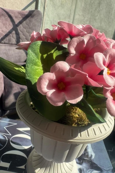 Yapay Çiçek Krem Antik Saksıda Pembe Kadife Menekşe Gerçekçi Doku 22cm - 3