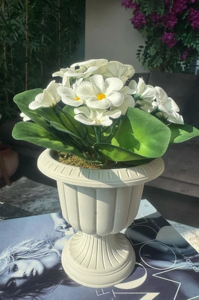 Nettenevime Yapay Çiçek Krem Antik Saksıda Beyaz Kadife Menekşe Gerçekçi Doku 22cm
