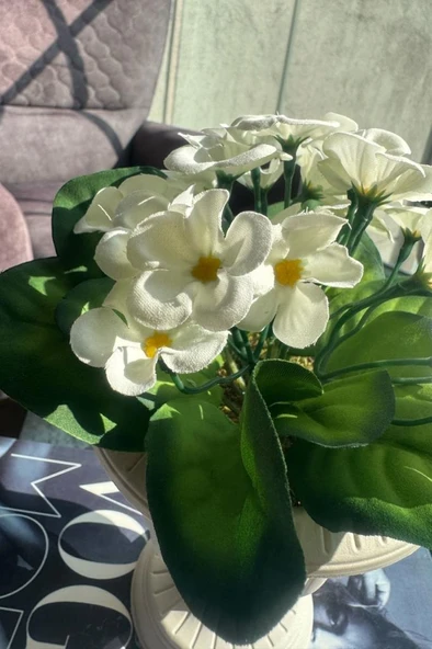 Nettenevime Yapay Çiçek Krem Antik Saksıda Beyaz Kadife Menekşe Gerçekçi Doku 22cm - 3