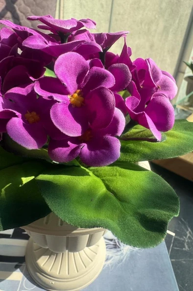 Nettenevime Yapay Çiçek Krem Antik Saksıda Mor Kadife Menekşe Gerçekçi Doku 22cm - Resim 4