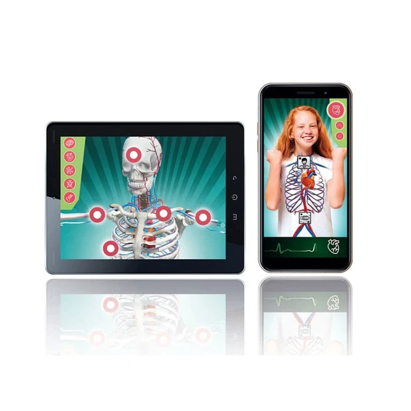 64474 Bilim ve Oyun - Süper Anatomi +8 yaş - Resim 5