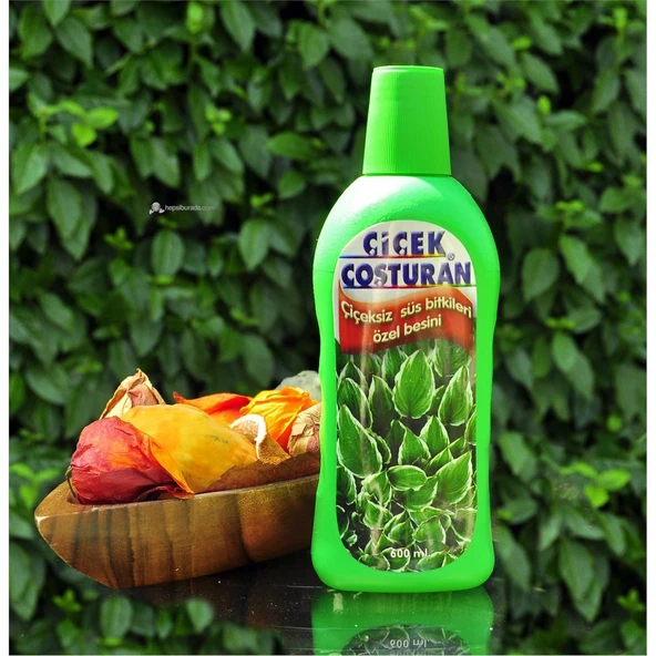 Çiçek Coşturan Çiçeksiz Süs Bitkileri İçin - 3