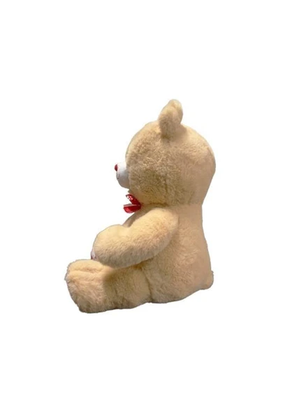 35 CM PATİLEN KALPLİ AYI -HLY - 2